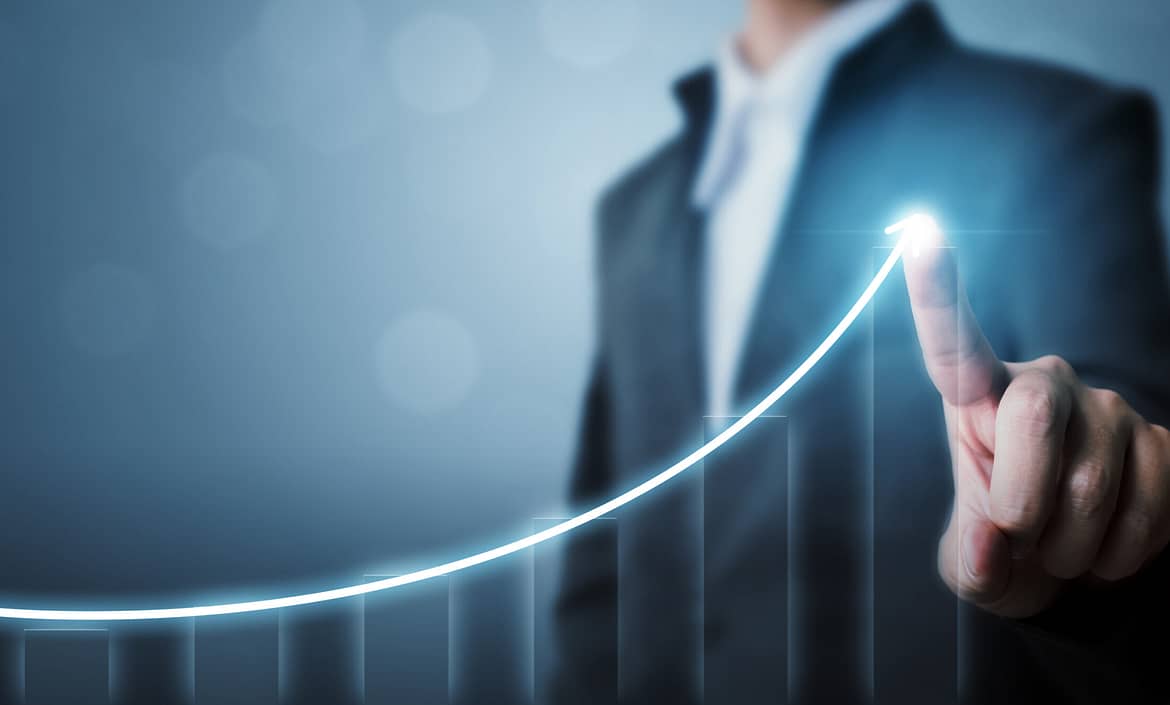 5 Business Maturity Levels